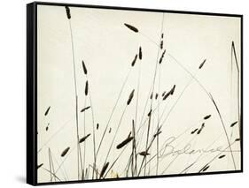 Grass Balance-Amy Melious-Framed Stretched Canvas