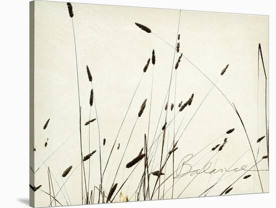 Grass Balance-Amy Melious-Stretched Canvas