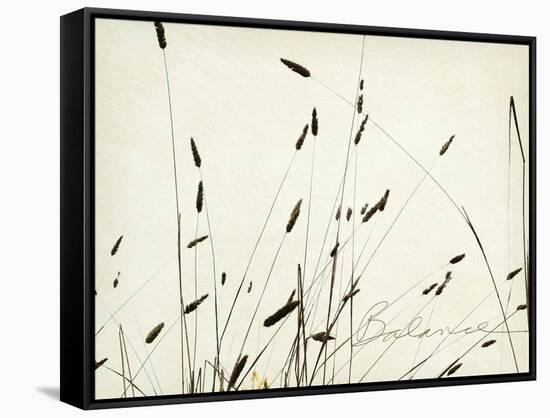 Grass Balance-Amy Melious-Framed Stretched Canvas