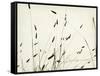 Grass Balance-Amy Melious-Framed Stretched Canvas