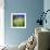 Grass Blade-Ursula Abresch-Framed Photographic Print displayed on a wall