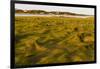 Grass , Cape Cod National Seashore, Massachusetts-Jerry and Marcy Monkman-Framed Premium Photographic Print