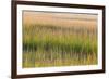 Grass , Cape Cod National Seashore, Massachusetts-Jerry and Marcy Monkman-Framed Photographic Print