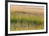 Grass , Cape Cod National Seashore, Massachusetts-Jerry and Marcy Monkman-Framed Photographic Print