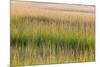 Grass , Cape Cod National Seashore, Massachusetts-Jerry and Marcy Monkman-Mounted Photographic Print