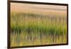 Grass , Cape Cod National Seashore, Massachusetts-Jerry and Marcy Monkman-Framed Photographic Print