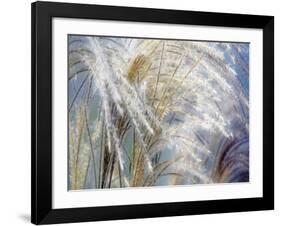 Grass Diptych Left-Ken Bremer-Framed Giclee Print