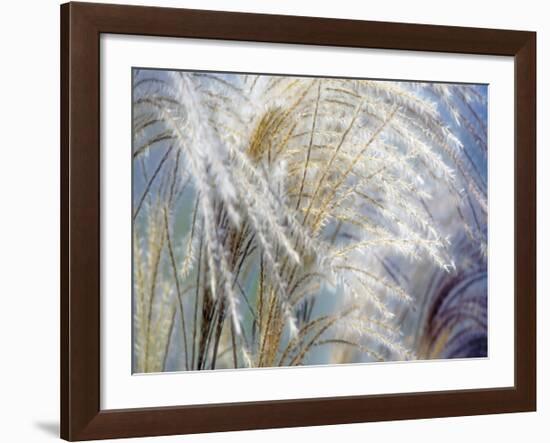 Grass Diptych Left-Ken Bremer-Framed Giclee Print