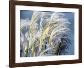 Grass Diptych Right-Ken Bremer-Framed Giclee Print