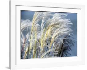 Grass Diptych Right-Ken Bremer-Framed Giclee Print