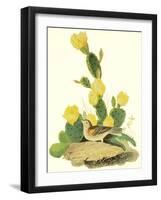 Grass Finch Or Bay-Winged Bunting-John James Audubon-Framed Art Print