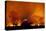 Grass Fire at Night in Pantanal, Brazil-Bence Mate-Stretched Canvas