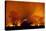 Grass Fire at Night in Pantanal, Brazil-Bence Mate-Stretched Canvas