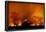 Grass Fire at Night in Pantanal, Brazil-Bence Mate-Framed Photographic Print