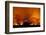 Grass Fire at Night in Pantanal, Brazil-Bence Mate-Framed Photographic Print