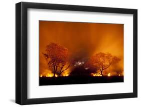 Grass Fire at Night in Pantanal, Brazil-Bence Mate-Framed Photographic Print