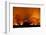 Grass Fire at Night in Pantanal, Brazil-Bence Mate-Framed Photographic Print