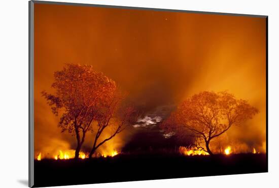 Grass Fire at Night in Pantanal, Brazil-Bence Mate-Mounted Photographic Print