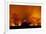 Grass Fire at Night in Pantanal, Brazil-Bence Mate-Framed Photographic Print