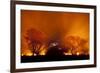 Grass Fire at Night in Pantanal, Brazil-Bence Mate-Framed Photographic Print