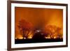 Grass Fire at Night in Pantanal, Brazil-Bence Mate-Framed Photographic Print