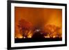 Grass Fire at Night in Pantanal, Brazil-Bence Mate-Framed Photographic Print