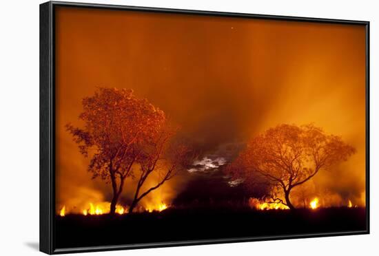 Grass Fire at Night in Pantanal, Brazil-Bence Mate-Framed Photographic Print