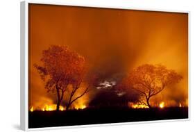 Grass Fire at Night in Pantanal, Brazil-Bence Mate-Framed Photographic Print