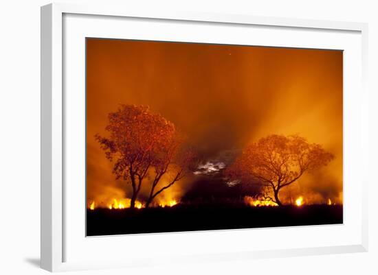 Grass Fire at Night in Pantanal, Brazil-Bence Mate-Framed Photographic Print