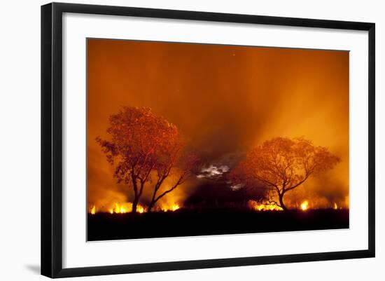 Grass Fire at Night in Pantanal, Brazil-Bence Mate-Framed Photographic Print