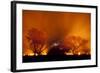 Grass Fire at Night in Pantanal, Brazil-Bence Mate-Framed Photographic Print