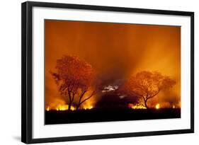 Grass Fire at Night in Pantanal, Brazil-Bence Mate-Framed Photographic Print