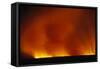 Grass Fire at Night-null-Framed Stretched Canvas