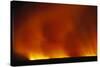 Grass Fire at Night-null-Stretched Canvas