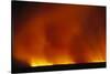 Grass Fire at Night-null-Stretched Canvas