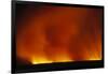 Grass Fire at Night-null-Framed Photographic Print