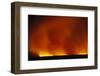 Grass Fire at Night-null-Framed Photographic Print