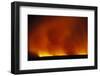 Grass Fire at Night-null-Framed Photographic Print