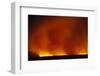 Grass Fire at Night-null-Framed Photographic Print