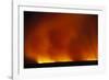 Grass Fire at Night-null-Framed Photographic Print