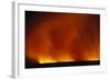 Grass Fire at Night-null-Framed Photographic Print