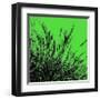 Grass (green), c.2011-Davide Polla-Framed Premium Giclee Print