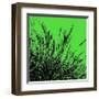 Grass (green), c.2011-Davide Polla-Framed Premium Giclee Print