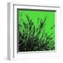 Grass (green), c.2011-Davide Polla-Framed Premium Giclee Print