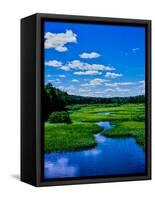 Grass growing in a river, Middle Branch Moose River, New York State Route 28, Adirondack Mountai...-null-Framed Stretched Canvas