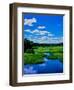 Grass growing in a river, Middle Branch Moose River, New York State Route 28, Adirondack Mountai...-null-Framed Photographic Print