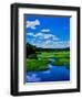 Grass growing in a river, Middle Branch Moose River, New York State Route 28, Adirondack Mountai...-null-Framed Photographic Print