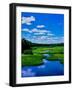 Grass growing in a river, Middle Branch Moose River, New York State Route 28, Adirondack Mountai...-null-Framed Photographic Print