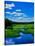 Grass growing in a river, Middle Branch Moose River, New York State Route 28, Adirondack Mountai...-null-Stretched Canvas