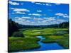 Grass growing in a river, Middle Branch Moose River, New York State Route 28, Adirondack Mountai...-null-Stretched Canvas